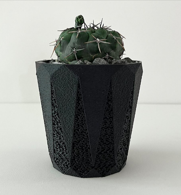 金剛-3号鉢-bachi