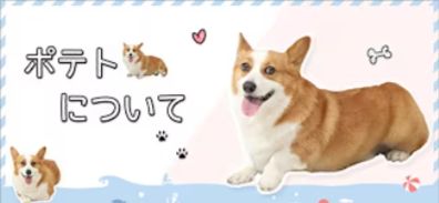 Qoo10-ネット通販｜eBay-Japan (1)