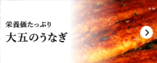 国産うなぎの通販・お取り寄せなら-大五うなぎ工房本店 (1)